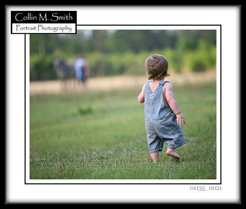 01135fb-021 01135fb-021